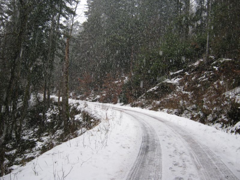 2010-02-20 Grossman (15) Big snow flakes